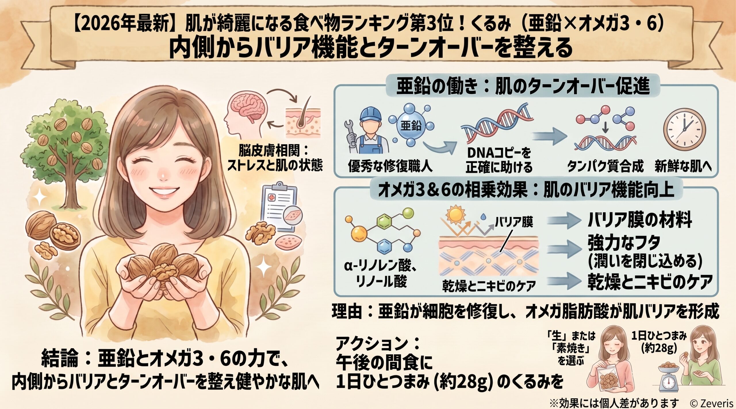 【2026年最新】肌が綺麗になる食べ物ランキング第3位！くるみ（亜鉛×オメガ3・6）｜内側からバリア機能とターンオーバーを整える