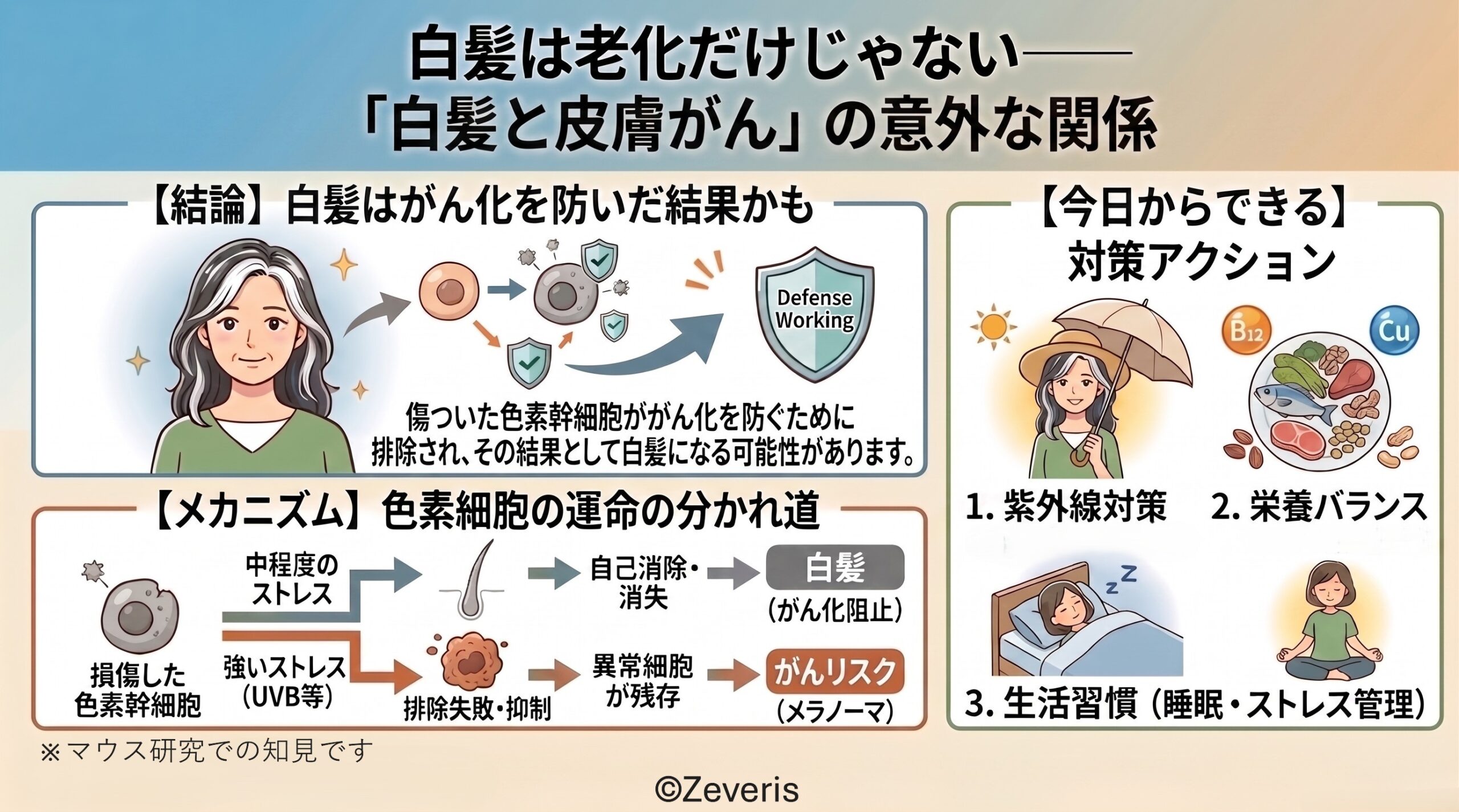 白髪は”老化だけ”じゃない？──最新研究が示す、白髪と皮膚がんの意外な関係