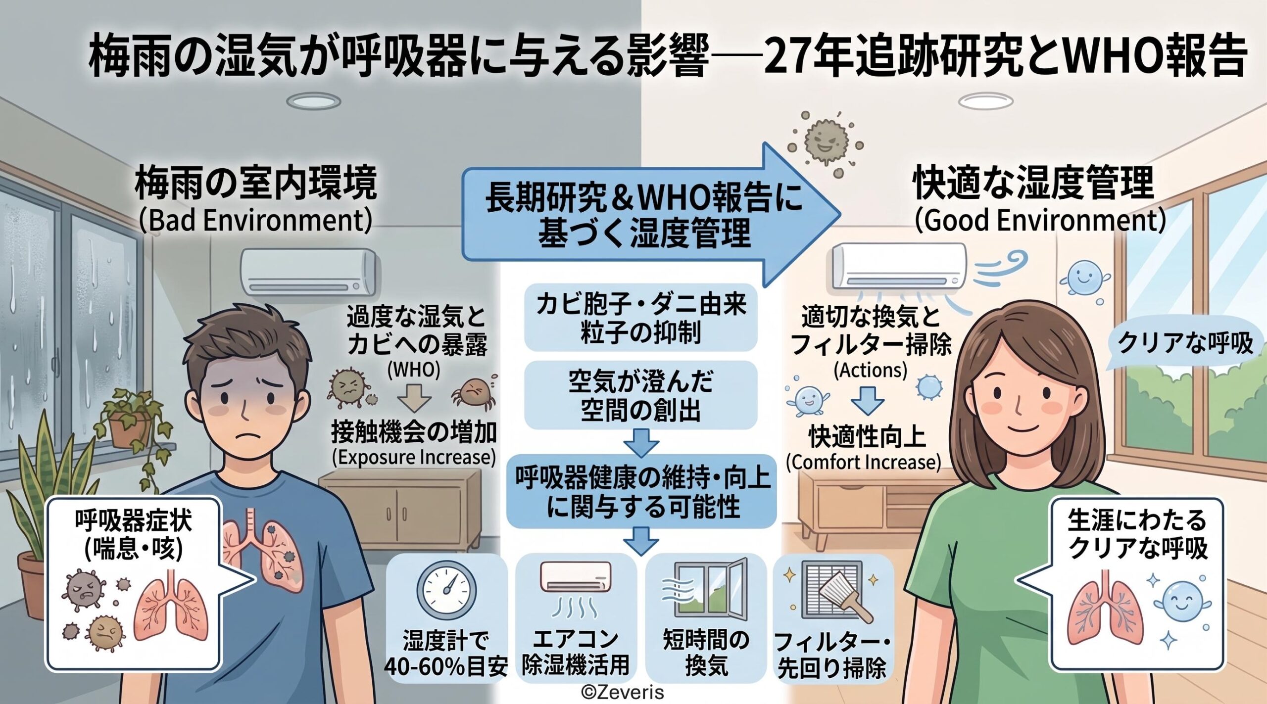 梅雨の湿気が呼吸器に与える影響──27年追跡研究とWHO報告