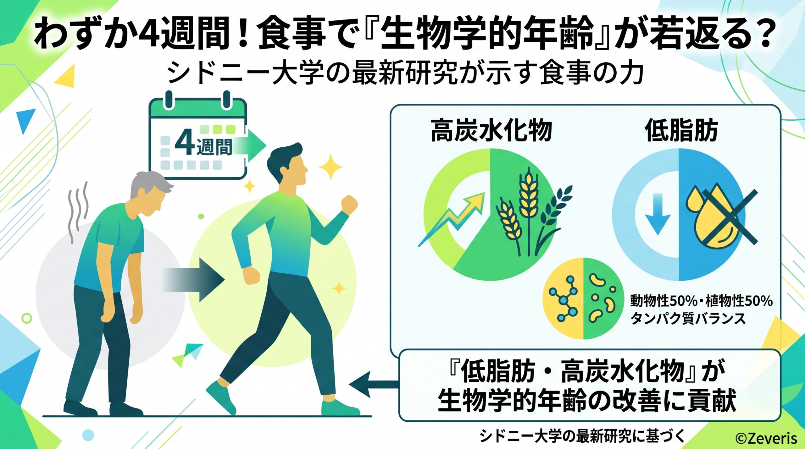 たった4週間の食事改善で「生物学的年齢」が若返る？シドニー大学の最新研究が示す食事の力