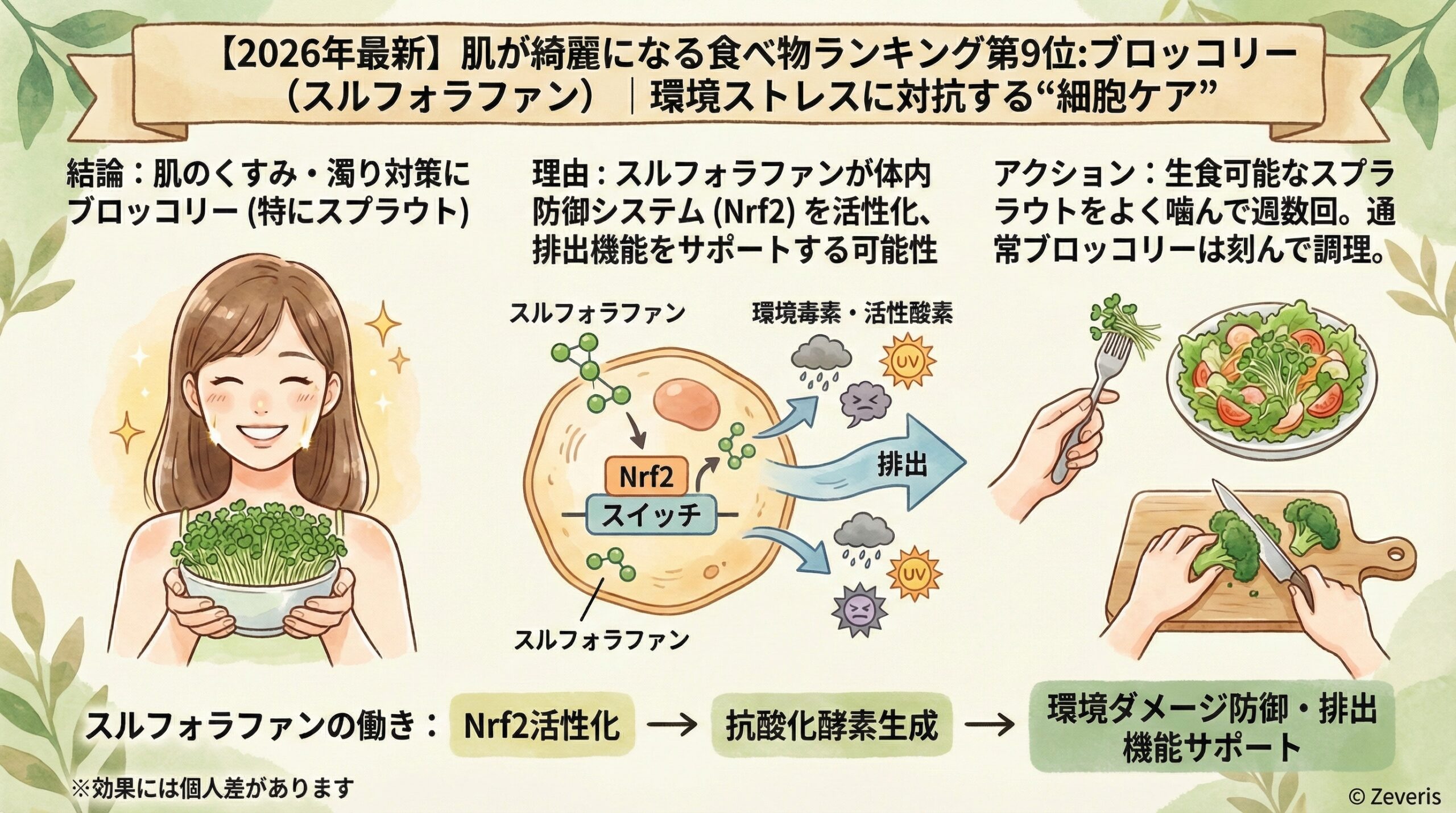 【2026年最新】肌が綺麗になる食べ物ランキング第9位:ブロッコリー（スルフォラファン）｜環境ストレスに対抗する”細胞ケア”