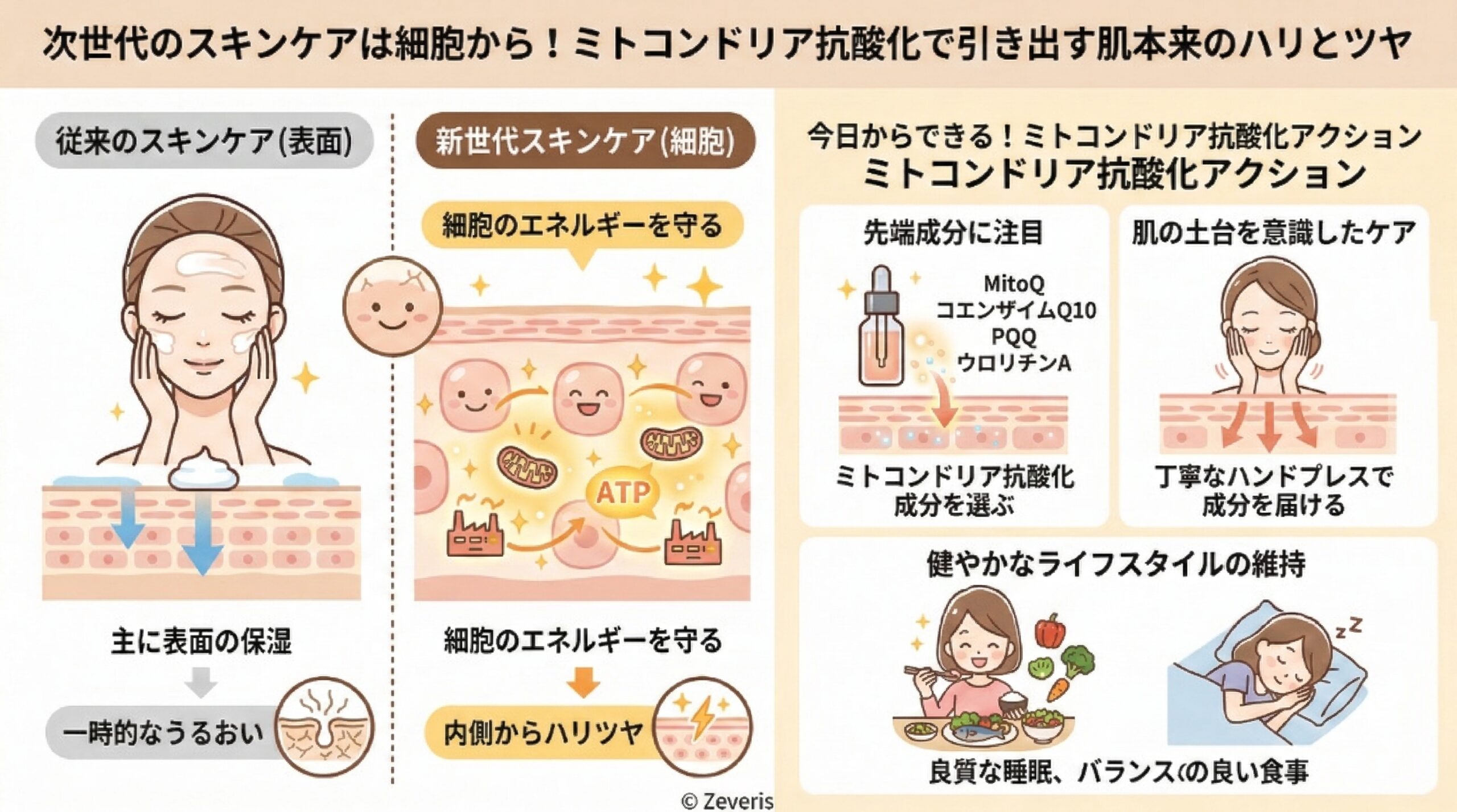 次世代のスキンケアは細胞から！ミトコンドリア抗酸化で引き出す肌本来のハリとツヤ