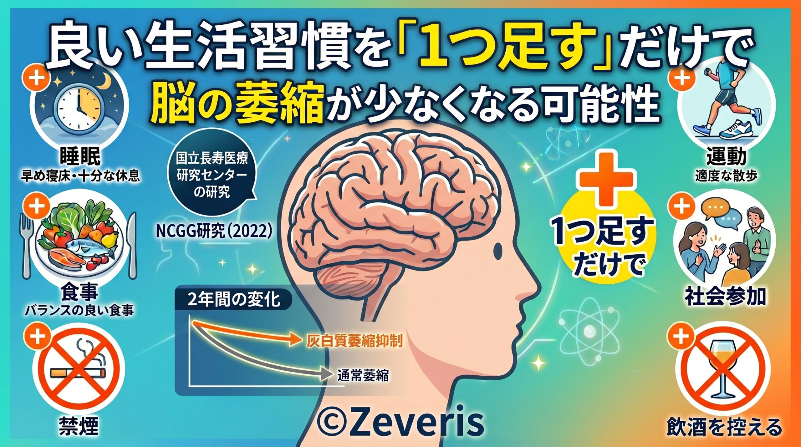 良い生活習慣を「1つ足す」だけで脳の萎縮が少なくなる可能性——国立長寿医療研究センターの研究