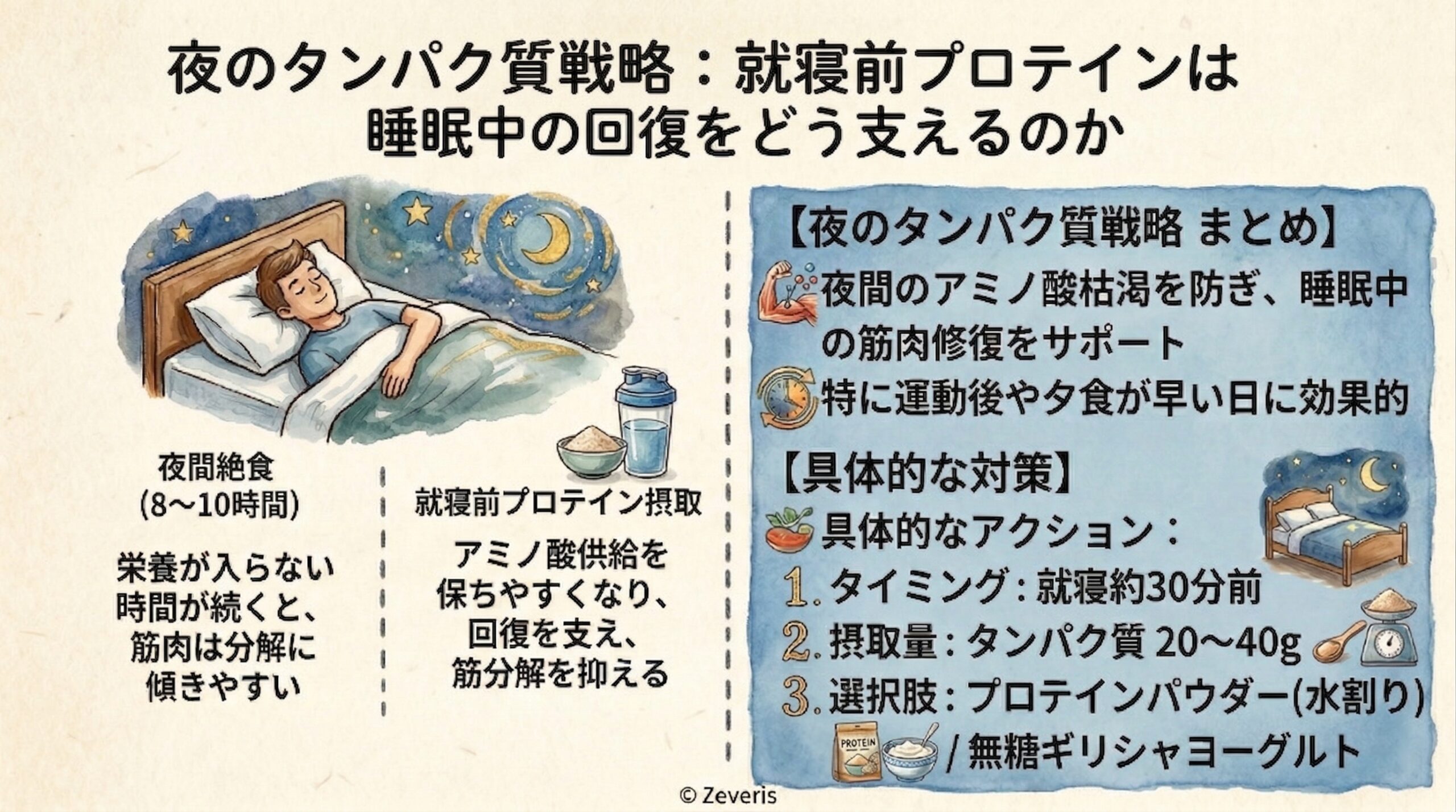 夜のタンパク質戦略：就寝前プロテインは睡眠中の回復をどう支えるのか