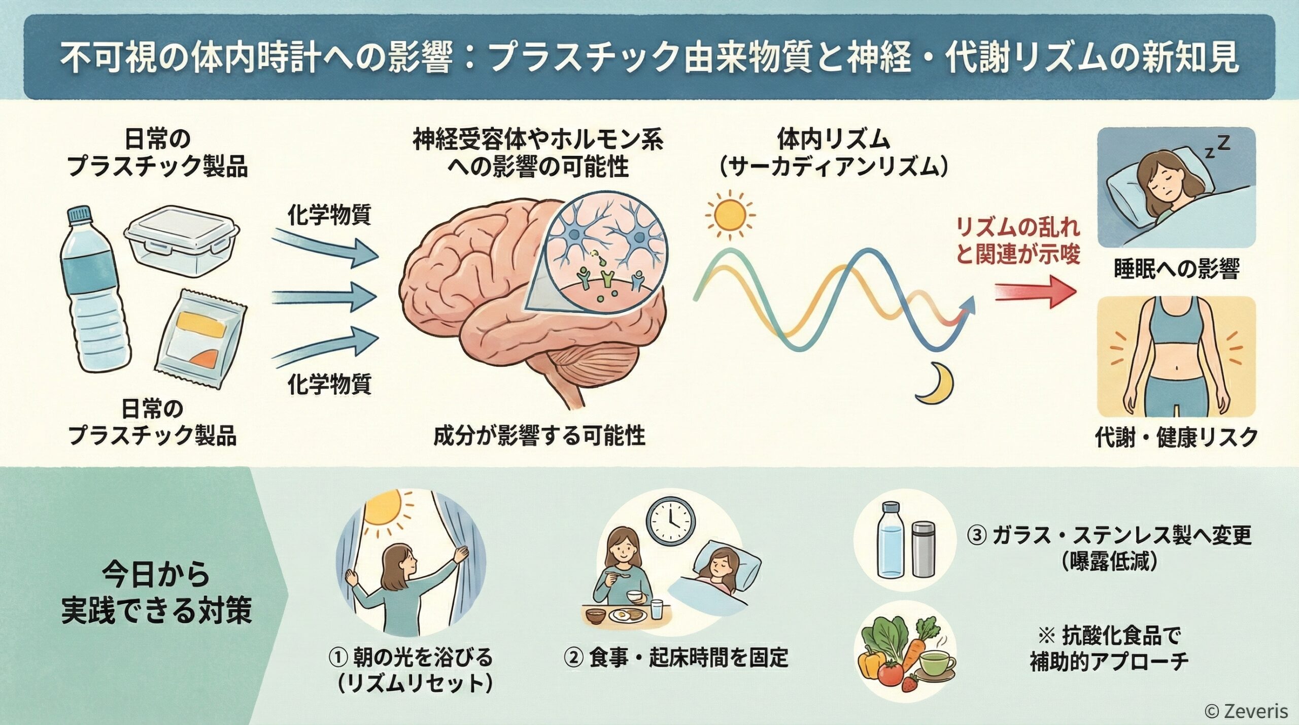 不可視の体内時計への影響：プラスチック由来物質と神経・代謝リズムの新知見