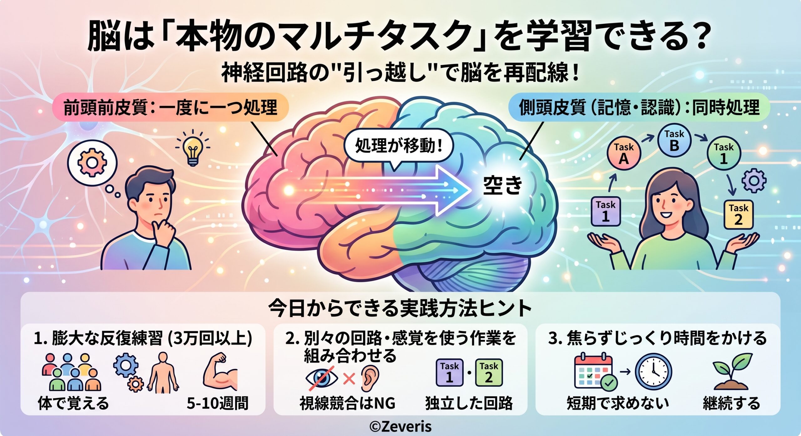 脳は「本物のマルチタスク」を学習できる？——脳が処理場所を切り替える仕組みが判明