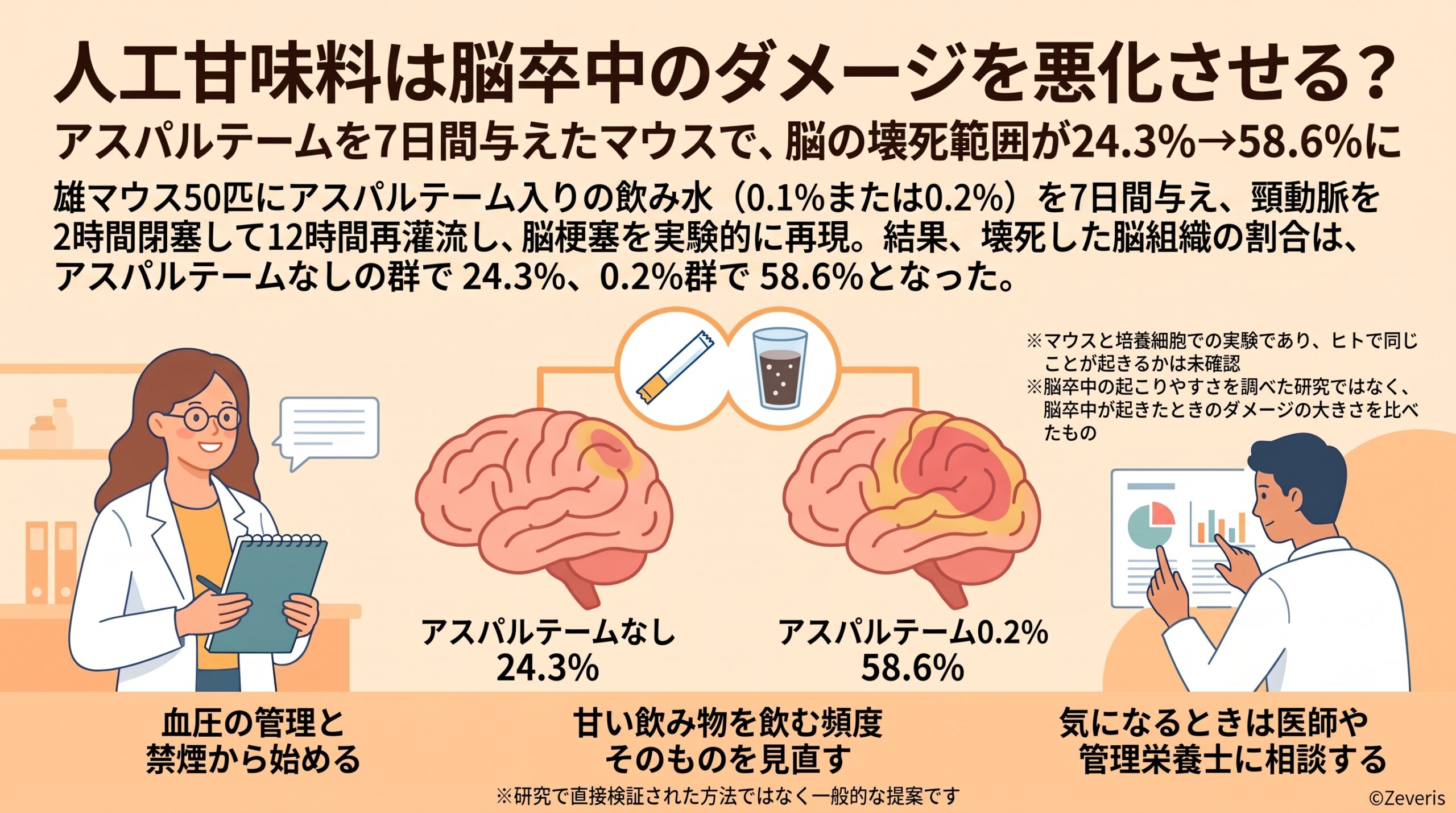 人工甘味料アスパルテームは脳卒中のダメージを悪化させる？――マウスで壊死範囲が約2倍に