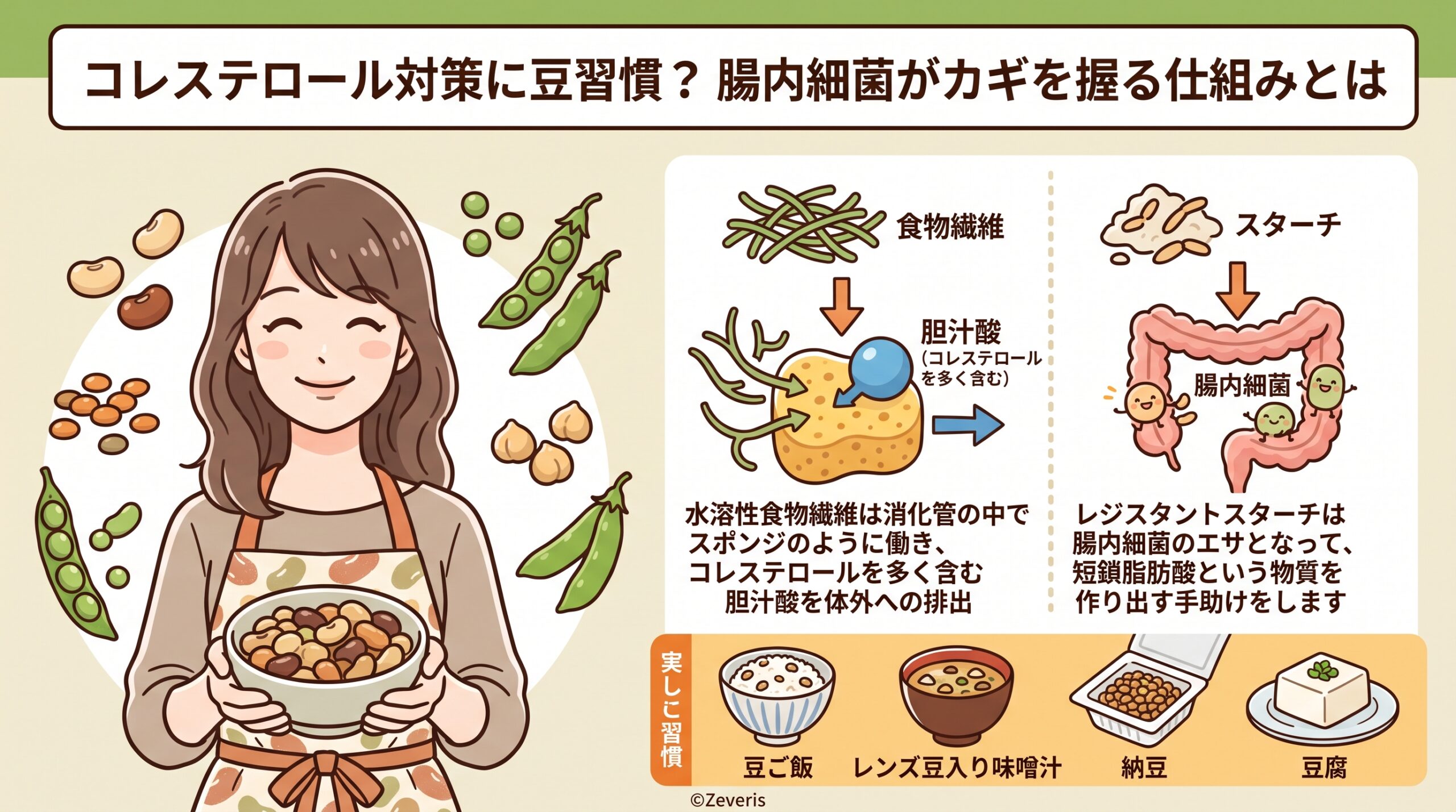 コレステロール対策に豆習慣？腸内細菌がカギを握る仕組みとは