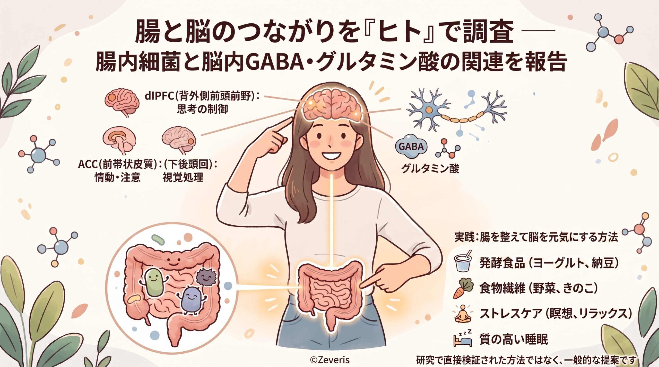 腸と脳のつながりを「ヒト」で調査――英サリー大学など、腸内細菌と脳内GABA・グルタミン酸の関連を報告
