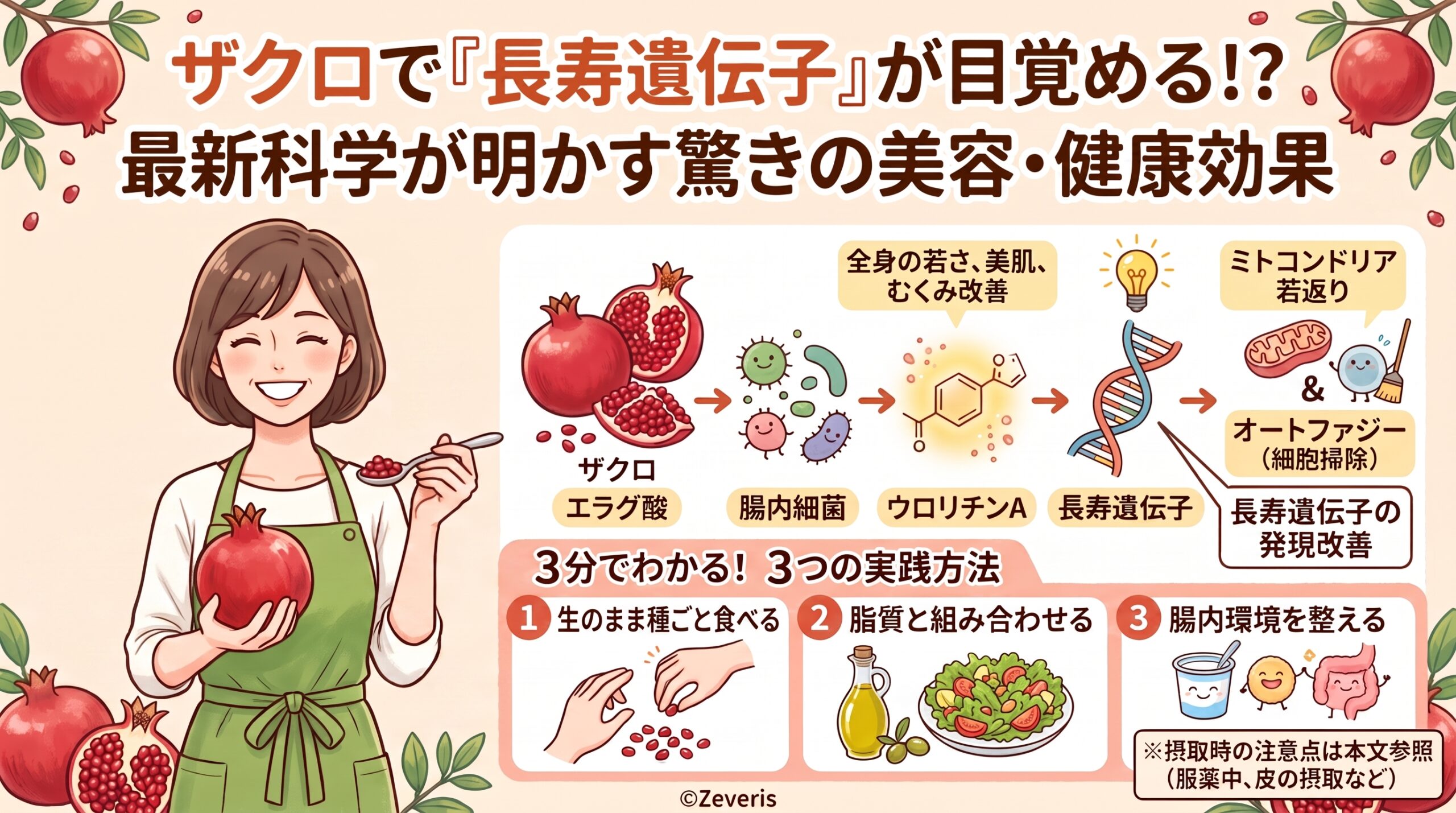 ザクロが「長寿遺伝子」を目覚めさせる？最新科学が明かす驚きの美容・健康効果