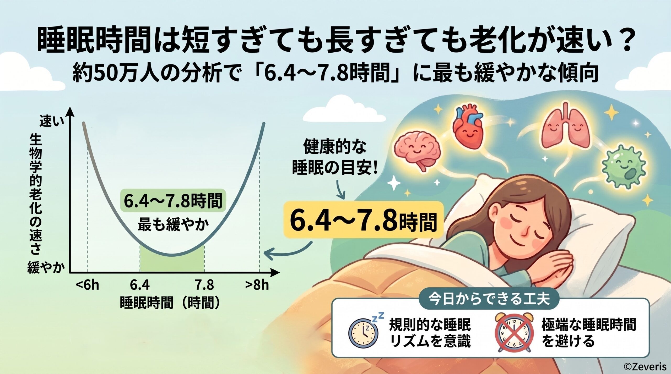 睡眠は短すぎても長すぎても老化が速い？――約50万人の分析で「6.4〜7.8時間」に最も緩やかな傾向