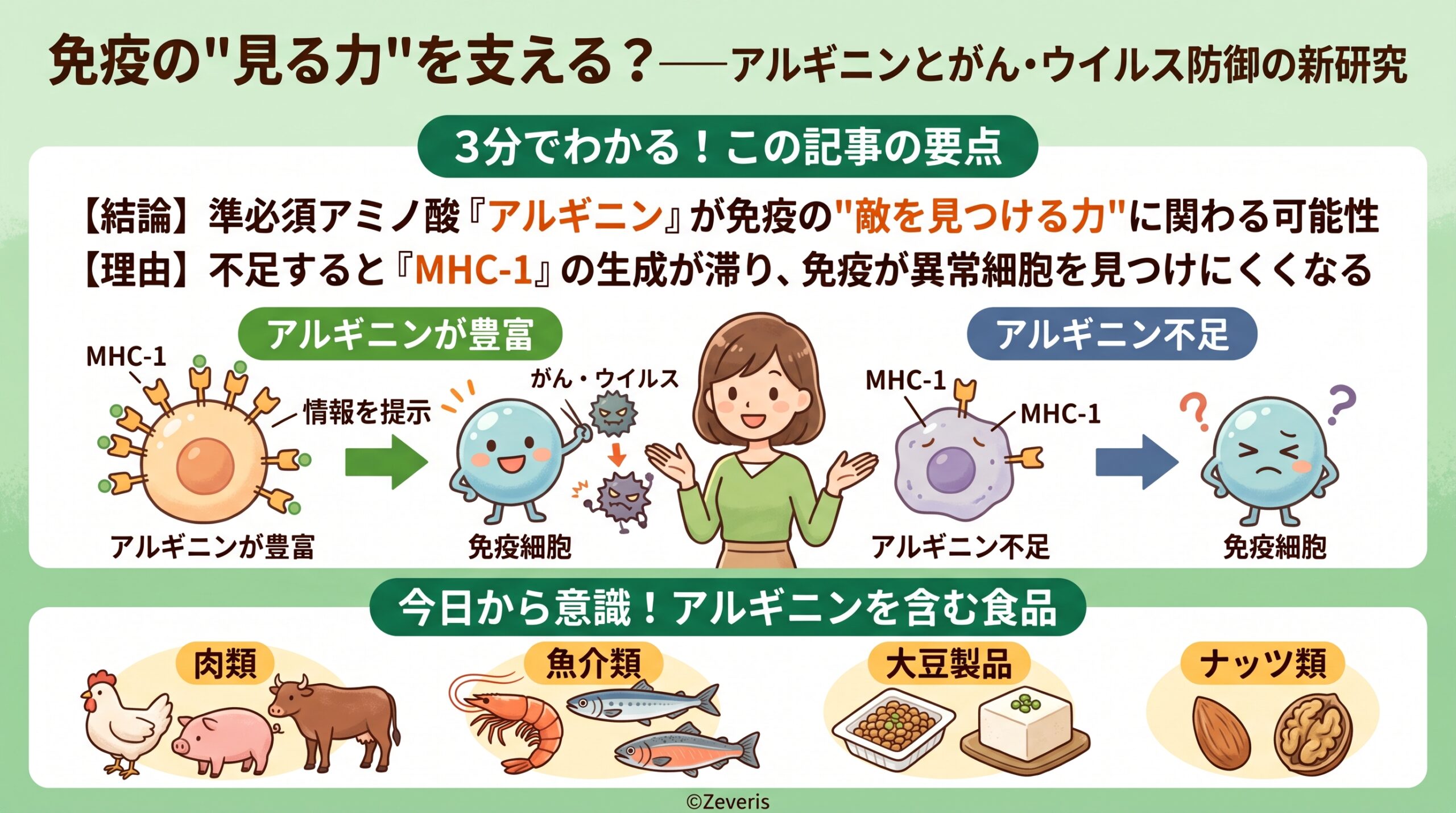免疫細胞の”見る力”を支える？——アルギニンとがん・ウイルス防御の新研究