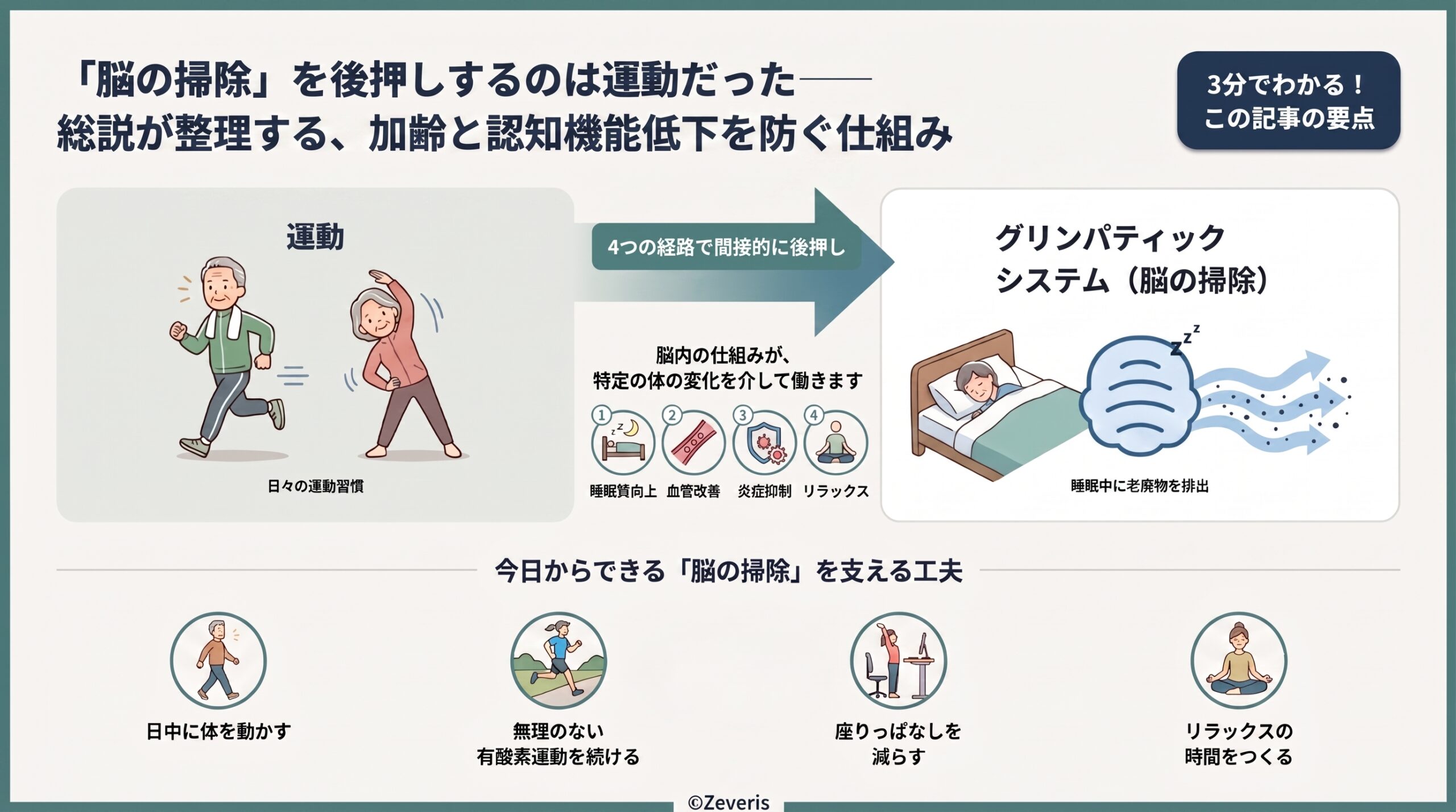 「脳の掃除」を後押しするのは運動だった――総説が整理する、加齢と認知機能低下を防ぐ仕組み
