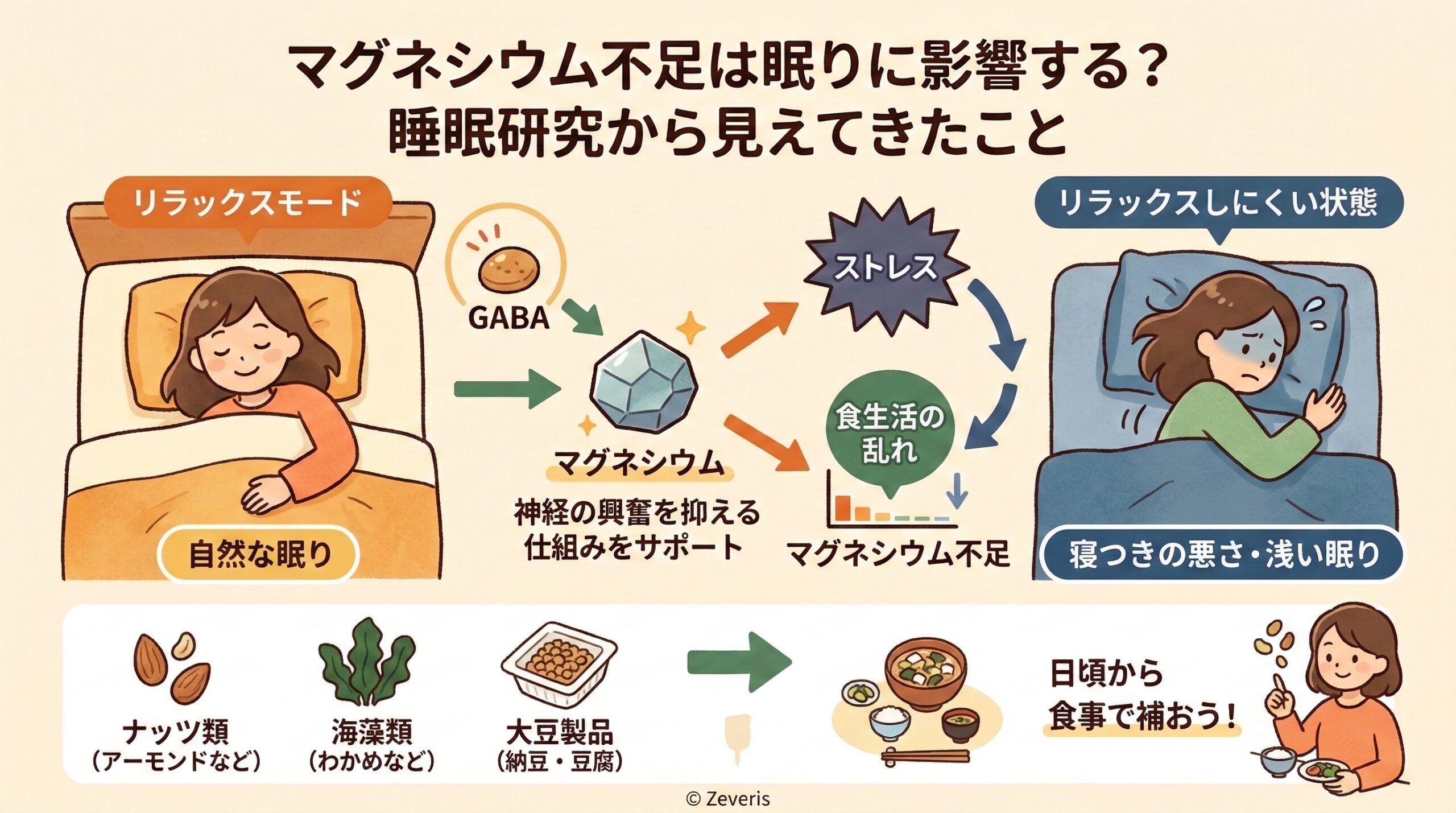 マグネシウム不足は眠りに影響する？ 睡眠研究から見えてきたこと