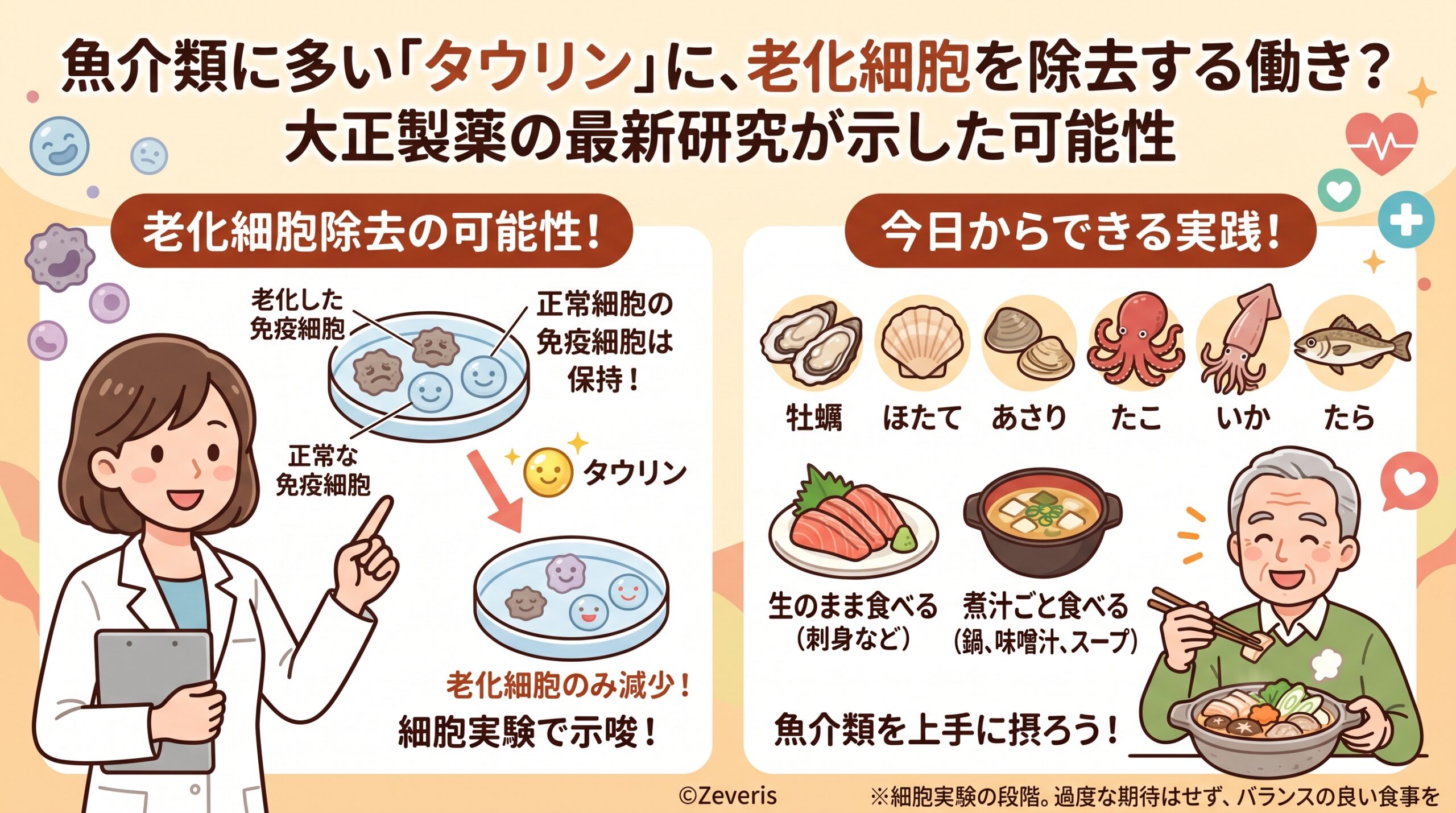 魚介類に多い「タウリン」に、老化細胞を除去する働き？ 大正製薬の最新研究が示した可能性