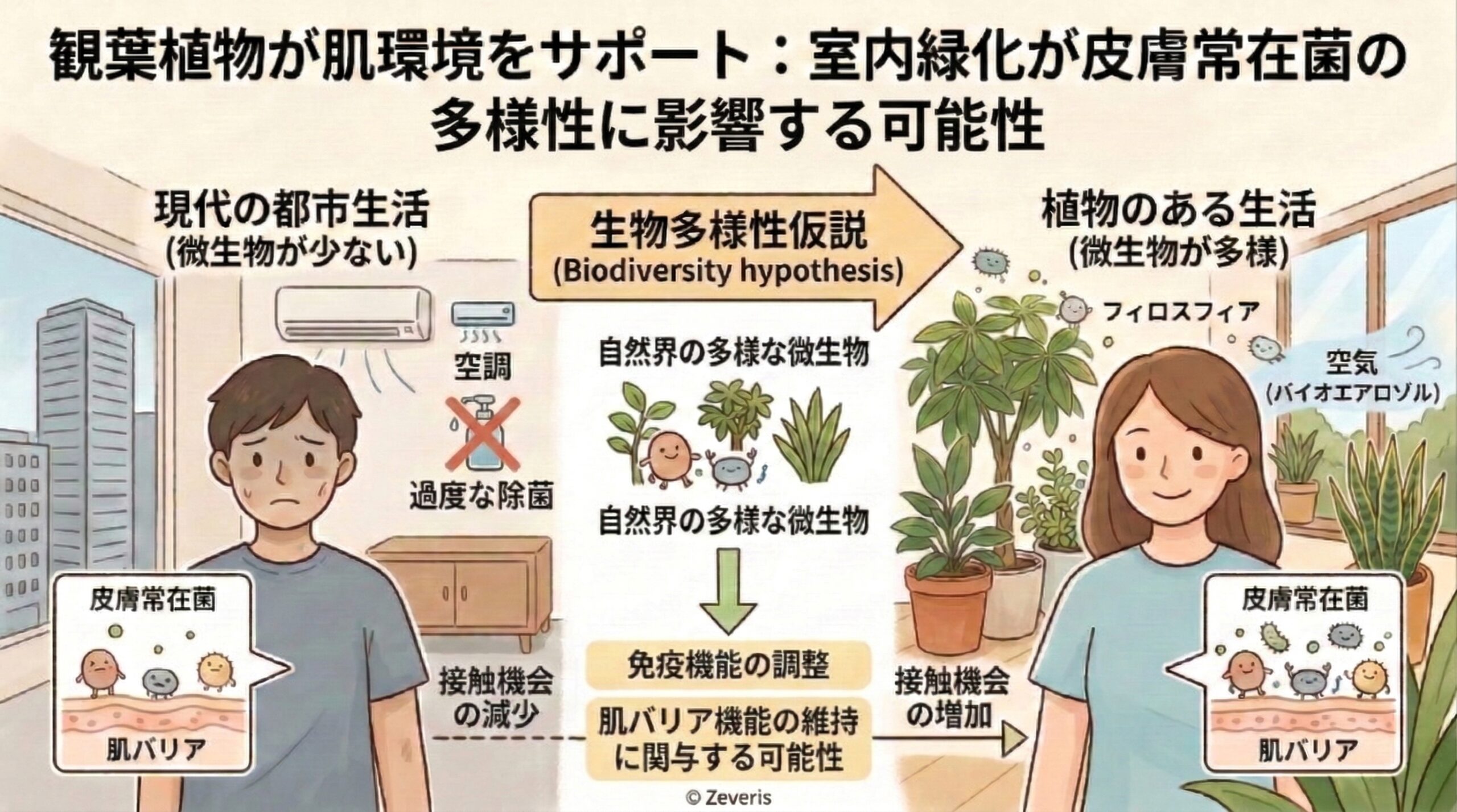 観葉植物が肌環境をサポート：室内緑化が皮膚常在菌の多様性に影響する可能性